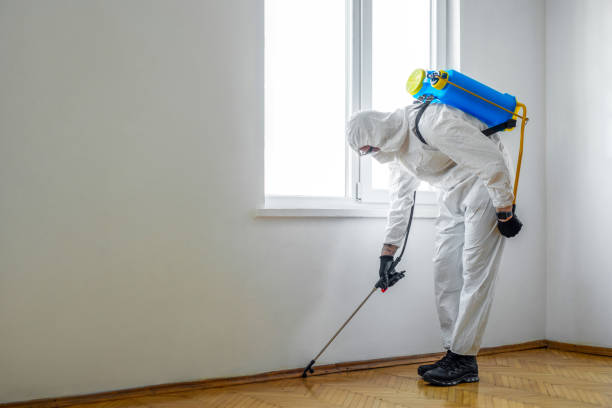 Best Pest Prevention Services  in Golden Grove, SC