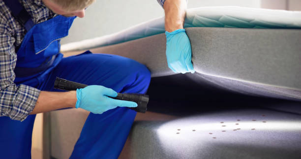 Wasp Removal Services in Golden Grove, SC